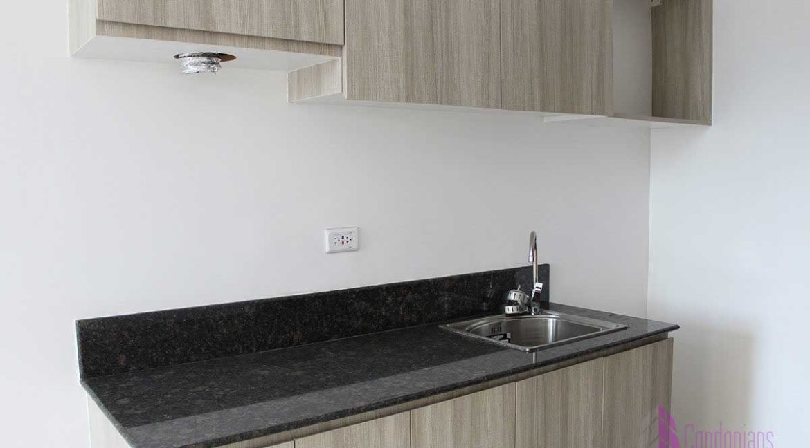 Stu_Trillium_finish_kitchen-1200x800