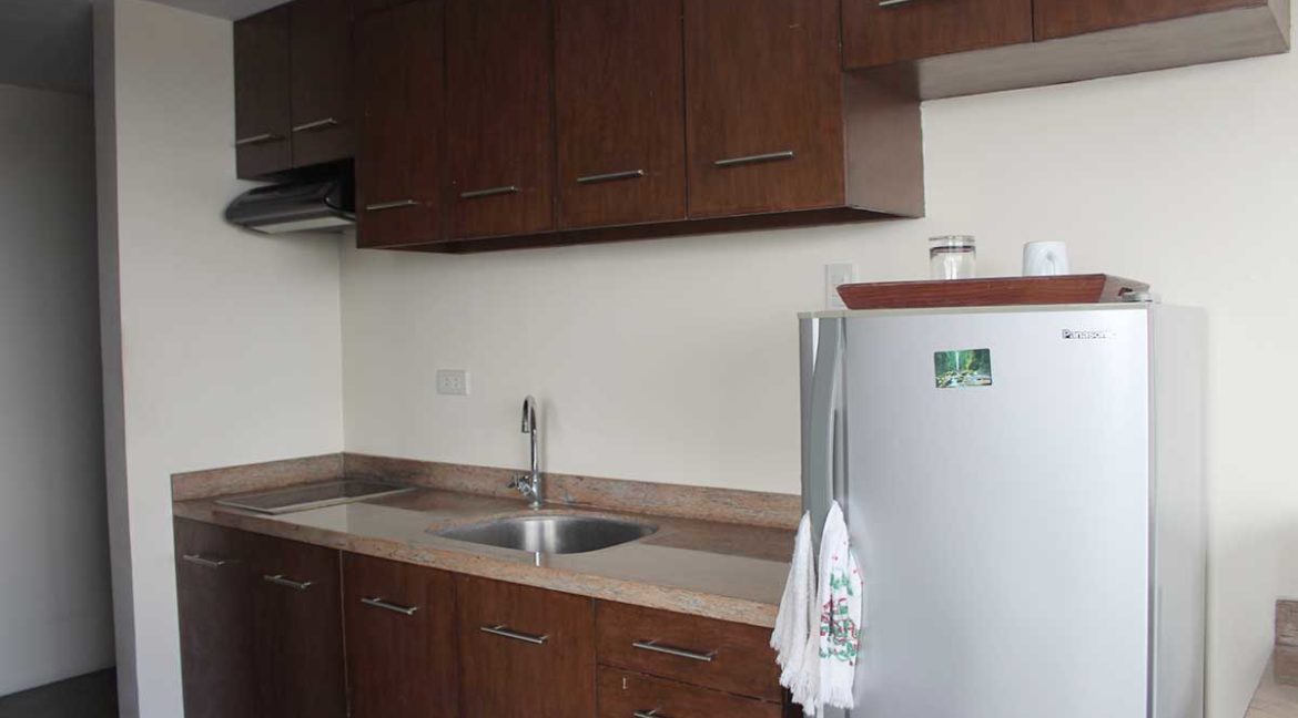 citysuites-1br-ram-kitchen2-1200x800