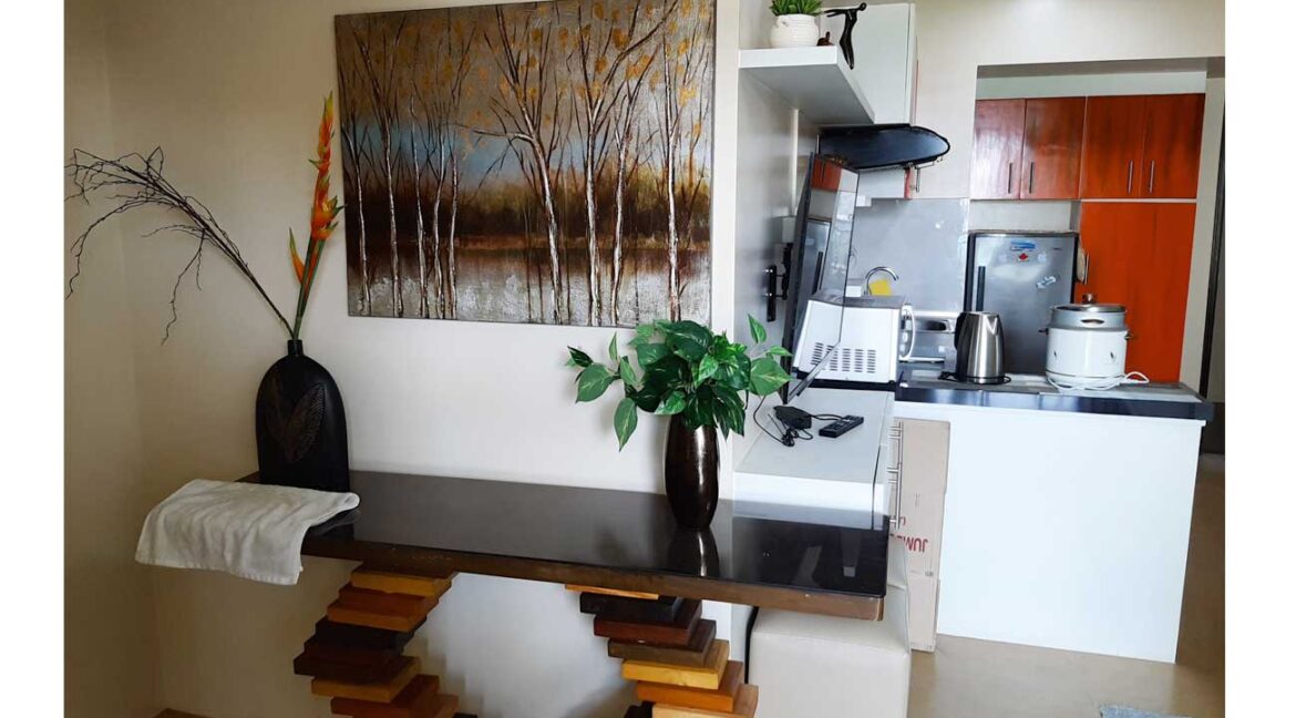 avida-atria-rent-1br-7-decor