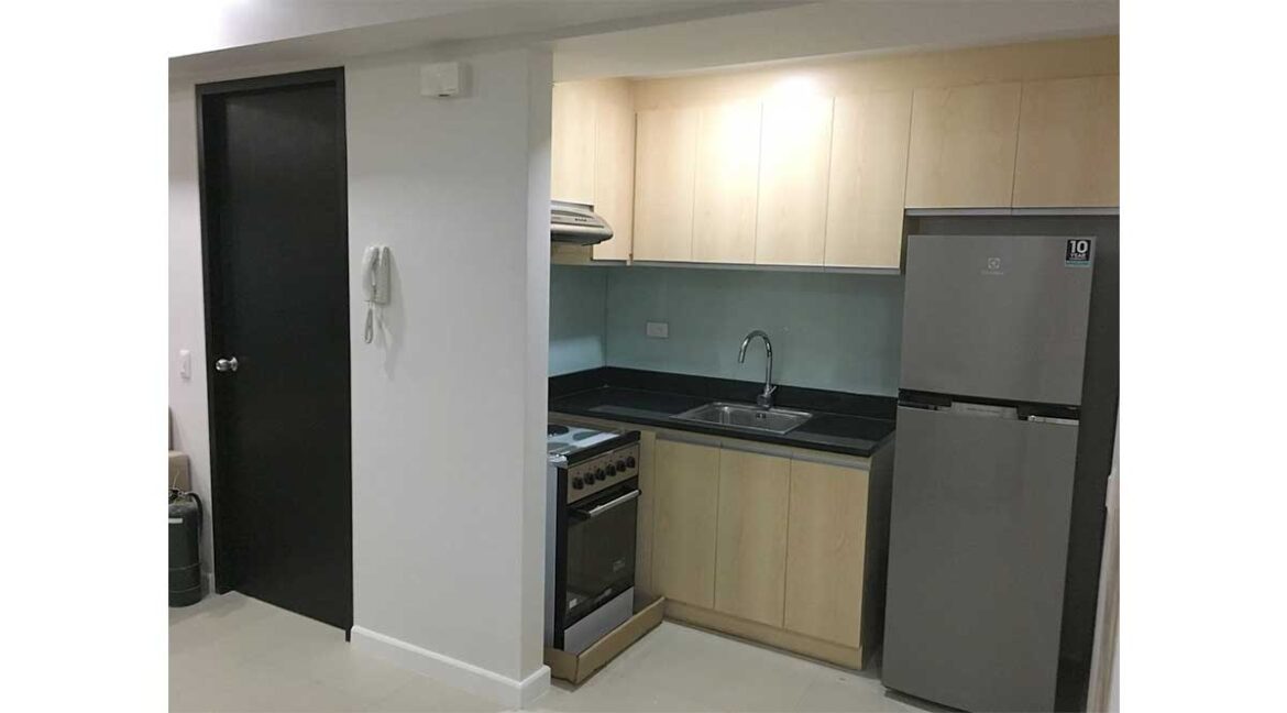 solinea-rent-rish-45-kitchen