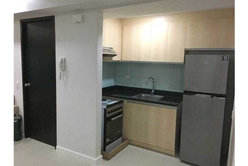 solinea-rent-rish-45-kitchen