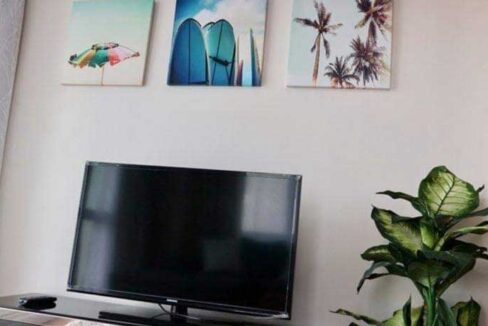 solinea-2br-CS237-living-tv