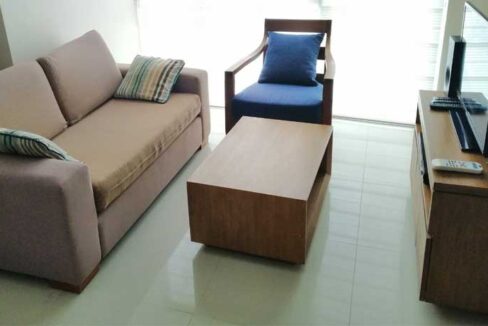21-rent-1br-8newtownblvd-3-living2